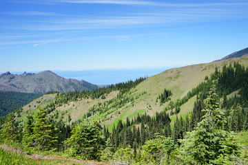 Beautiful mountains in Olympic National Park in summer in Washington, near Seattle