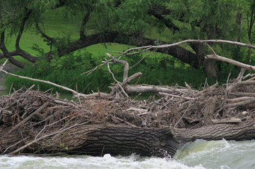 river log jam