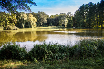 A pond in Arboretum / Kornik/ Wielkopolska/ Poland