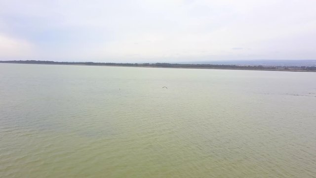 Flight over surface of Limassol Salt Lake (Akrotiri Salt Lake) following flying birds (Hern). Aerial of wetland.