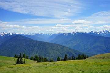 Fototapeta premium Olympic National Park in summer in Washington, near Seattle