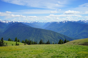 Fototapeta premium Beautiful snow capped mountains in Olympic National Park in summer in Washington, near Seattle 