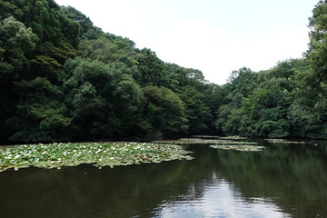 giardini città di tokyo