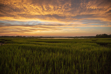 sunset over marsh