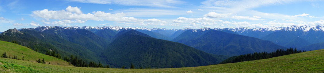 Fototapeta premium Beautiful mountains in Olympic National Park in summer in Washington, near Seattle