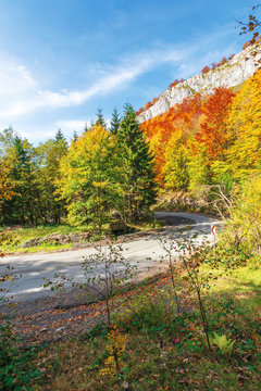 serpentine road in apuseni mountains, pietrele negre romania. rocky cliff above the passage. trees in colorful foliage. beautiful and sunny autumn weather. 