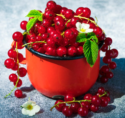 Red currants in mugs on grey table