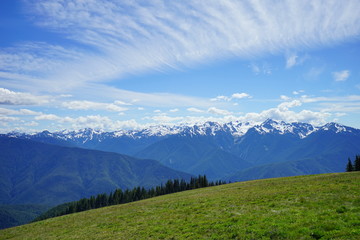 Fototapeta premium Beautiful snow capped mountains in Olympic National Park 