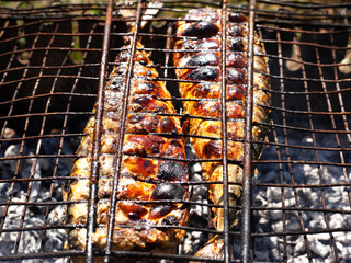 cooking fried fish on coals, mackerel grilled to a golden crust 