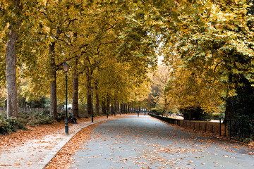 Piles of fallen leaves in one of the alleys of Battersea park in autumn, London