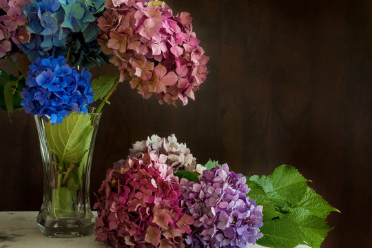 Beautiful hydrangea flowers in multiple colors arranged in a vase on a table; Bright pink, purple and blue bunches of flowers