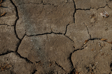 Drought. The background of dry land for design.