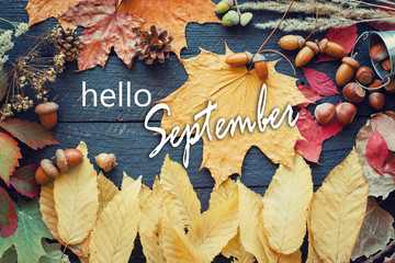 hello September card, Autumn composition