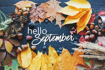 hello September card, Autumn composition