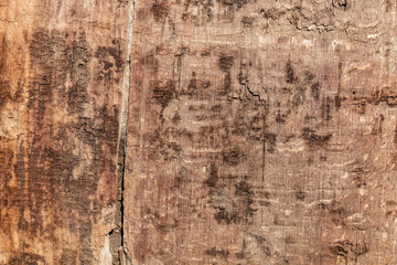 Old Weathered Brownish Wood Texture