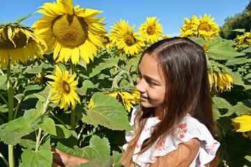 Teenage girl on a field of sunflowers.