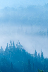 Met uitzicht op een veld met in mist gehulde bomen, Stowe, Vermont, VS