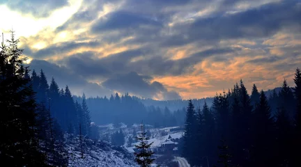 Photo sur Plexiglas Forêt dans le brouillard winter evening in the mountains