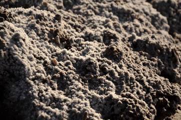 texture of sand stone