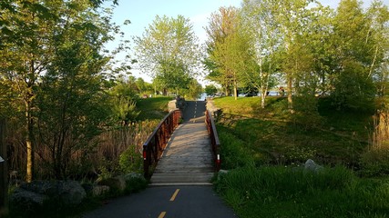 bridge in the park