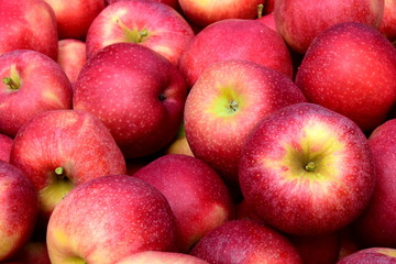 Apfelbaum - Äpfel - Apfelernte - Hintergrund und Textur