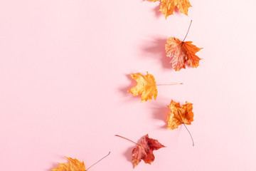Autumn creative composition. Beautiful dried leaves on pastel pink background. Fall concept. Autumn background. Flat lay, top view, copy space
