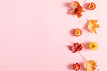 Autumn creative composition. Beautiful colorful flowers, leaves on pastel pink background. Fall concept. Autumn background. Flat lay, top view, copy space