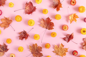 Autumn creative composition. Beautiful colorful flowers, leaves on pastel pink background. Fall concept. Autumn background. Flat lay, top view, copy space