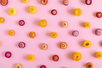 Autumn creative flowers composition. Colorful flowers on pastel pink background. Fall concept. Autumn background. Flat lay, top view, copy space