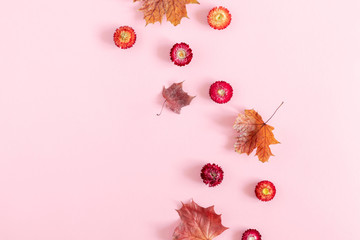 Autumn creative composition. Beautiful colorful flowers, leaves on pastel pink background. Fall concept. Autumn background. Flat lay, top view, copy space