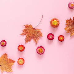 Autumn creative composition. Beautiful colorful flowers, leaves on pastel pink background. Fall concept. Autumn background. Flat lay, top view, copy space
