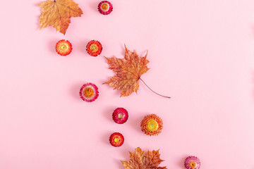 Autumn creative composition. Beautiful colorful flowers, leaves on pastel pink background. Fall concept. Autumn background. Flat lay, top view, copy space