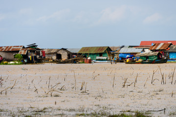 Reeds poke up above the surface of the Siem Reap river at the floating fishing village, Cambodia.