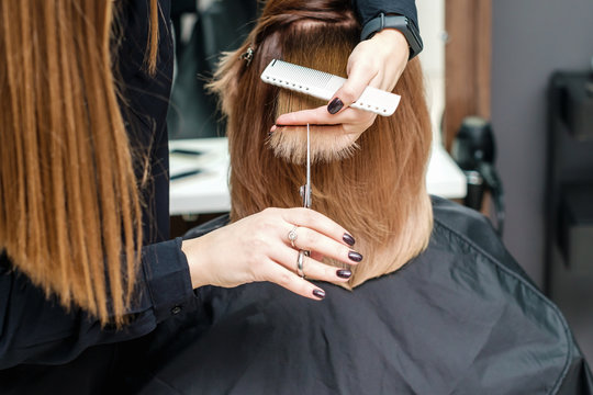 Female hairdresser hold in hand between fingers lock of red hair and cuts hair tips
