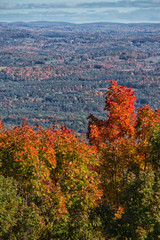 Autumn Panorama with Foreground Maple Trees