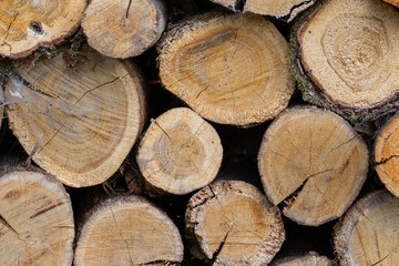 Close up of stacked woodpiles fir firewood for the winter
