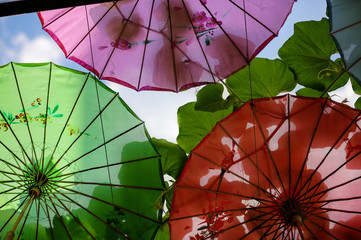 View of three umbrellas on a sunny day with large leaves behind the umbrellas casting shadows