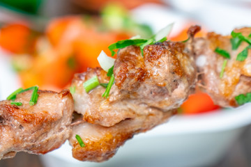 Grilled Kebab or Barbecue Shashlik (mtsvadi) on a Skewer. Macro Photo of Skewered Grilled Cubes of Meat with Selective Focus.