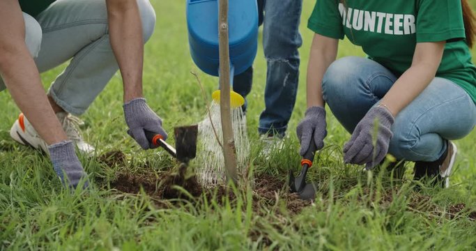 Three volunteers of different age planting tree in park. Young activists participating in tree-planting campaign, saving ecology - slow motion 4k