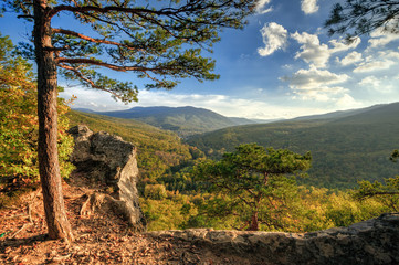 ine tree on the brink of Plancheskiye Rocks at sunset. Scenic sunny blue sky golden autumn landscape of Caucasus Mountain forest at Seversky district, Krasnodar region, West Caucasus, Russia.