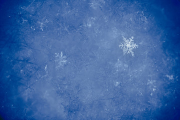 New Year and Christmas abstract icy snowy background with real snowflakes macro in cold blue tones. Cold winter background