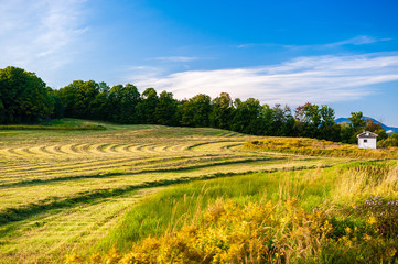 Pattern of cut hay on a warm late summer afternoon.