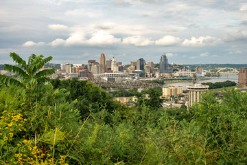 Fototapeta na wymiar Skyline Over Cincinnati with Greenery in the Foreground