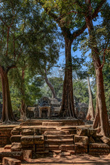 Enormous trees threaten to consume the Ta Prohm Temple in Cambodia.
