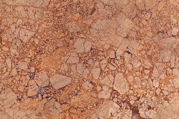 Surface of a brown dolomitic limestone breccia.