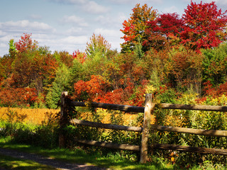 The autumn landscape with a wooden fence.