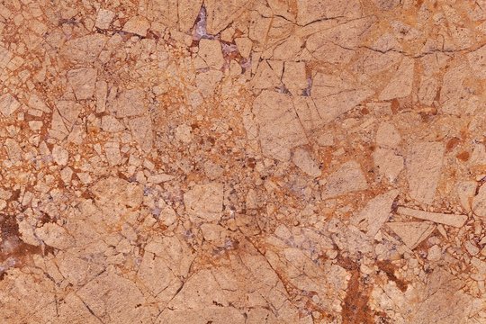 Surface of a brown dolomitic limestone breccia.