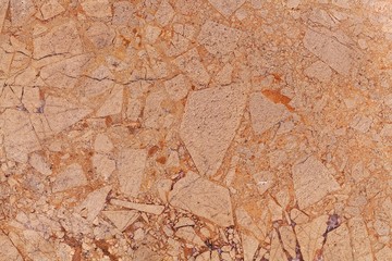 Surface of a brown dolomitic limestone breccia.