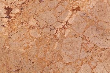 Surface of a brown dolomitic limestone breccia.