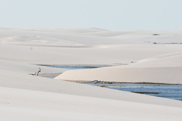 lençois maranhanses